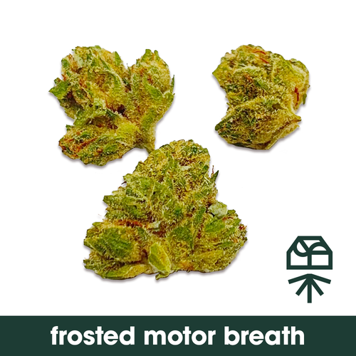 Frosted Motorbreath (I) - 