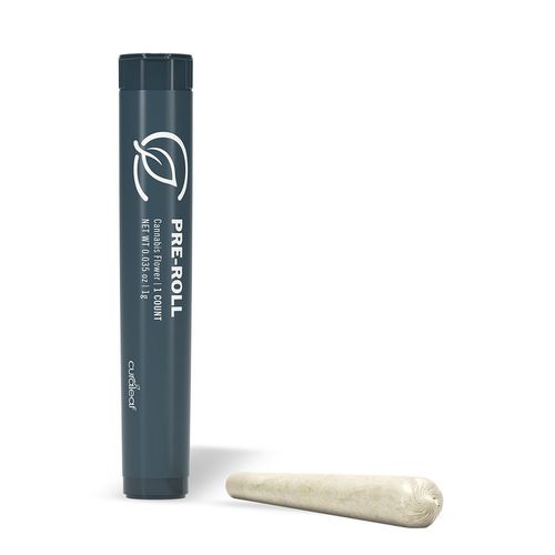 Rx Mints 22 (H) - 