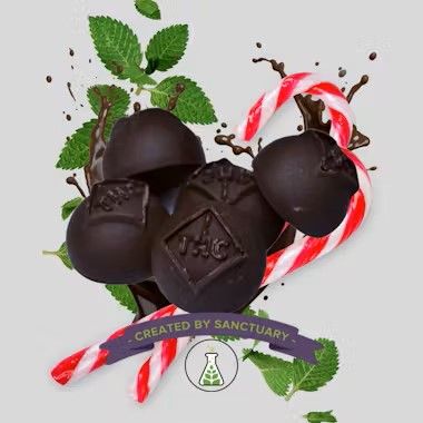 Peppermint Dark Chocolate Bites l Full Spectrum  60mg 6pk - 