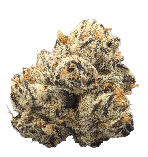 MPX Maui Flower - 