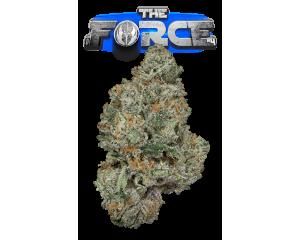 The Force #4 Eighth - 