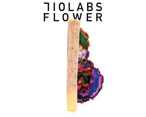 710 Labs Noodle Doink 1G - The Sweeties #7 - 