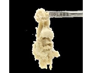 Water Hash 1G - Gak Smoovie #5 - 