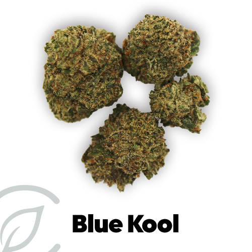Blue Kool (H) - 