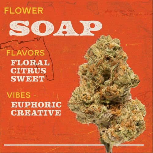 Soap 3.5g Flower Sativa - 