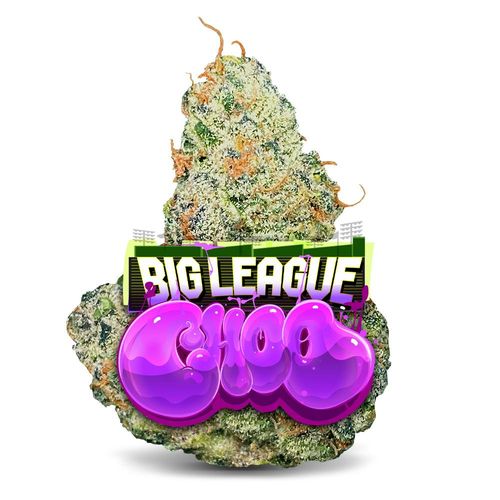 Big League Choo - Premium Flower by Jungle Boys - 3.500g Whole