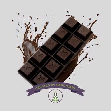 Dark Chocolate Bar  100mg 10pk - 