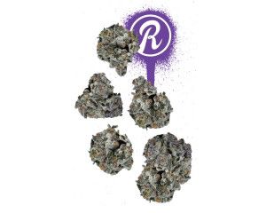 Super Pure Runtz 7g Juniors - 