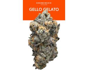 Gello Gelato #43 Eighth - 