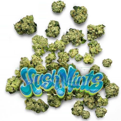 Kush Mints - Pops - 