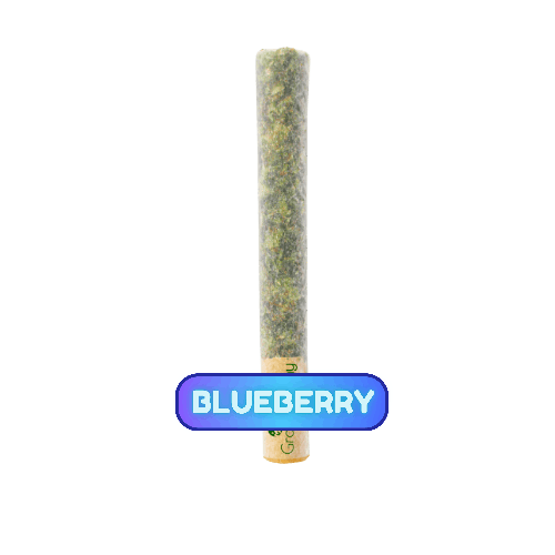Blueberry GrowHealthy Pre Roll - 