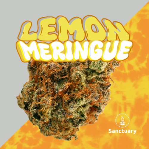 {'strain': 'Lemon Meringue', 'strain_type': 'Unknown', 'company': 'Sanctuary', 'brand': 'Sanctuary Cannabis', 'price': Decimal('22.00'), 'regular_price': Decimal('44.00'), 'thc': Decimal('31.10'), 'cbd': Decimal('0.00'), 'terps': Decimal('0.00'), 'grams': Decimal('3.500'), 'dollars_per_thcg': Decimal('20.210'), 'dollars_per_g': Decimal('6.290'), 'product_format': 'Flower', 'product_sub_format': 'Smalls', 'dispensary_cities': ['Sarasota'], 'main_url': 'https://www.sanctuarymed.com/near-me/florida-cannabis-dispensary/sarasota-fl-cannabis-dispensary?dtche%5Bproduct%5D=lemon-meringue-3-5g-small-bud', 'display_image_url': 'https://thchunter-images.s3.amazonaws.com/product-images/7fab7e81-a7f9-4a41-8973-71d9a59d4e75.com/dutchie-images/c66277a0a7b8de534b6bbd1d1f72cc06', 'id': 12380668, 'company_logo_file': 'Sanctuary.jpg', 'company__premium_company': False, 'company__name': 'Sanctuary'}