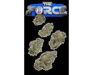 The Force #4 7g Juniors - 