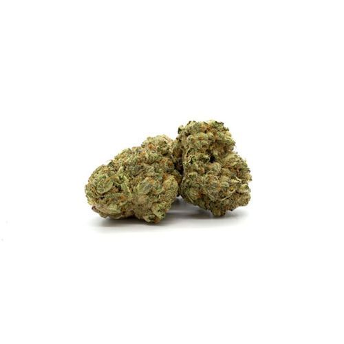 Dosido Sherbert (I) - 