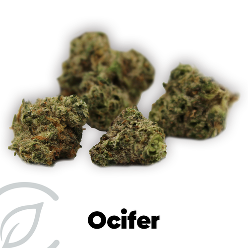 Ocifer(S) - 