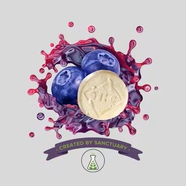 Blueberry Chews  Full Spectrum  100mg 10pk - 