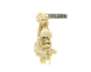 Water Hash 1G - Queen Zugar Cookie #9 - 