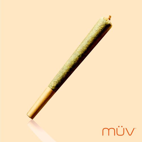 Applescotti by MÜV - 1.000g PreRoll
