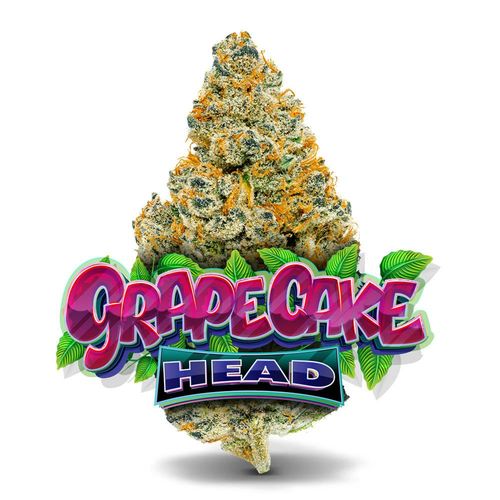 Grape Cake Head #19 - Premium Flower - 