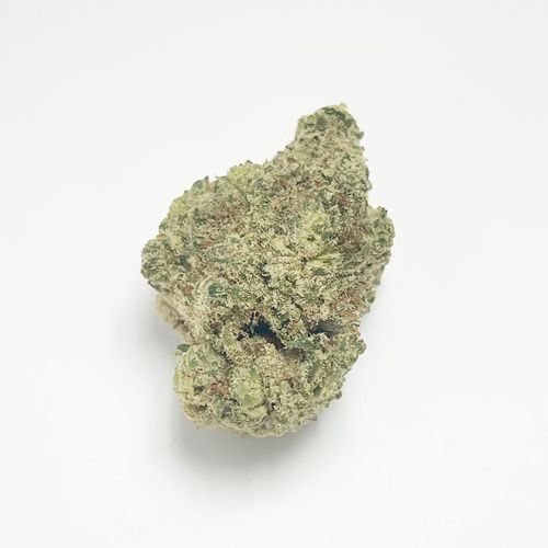 Alani Skunk (I) - 