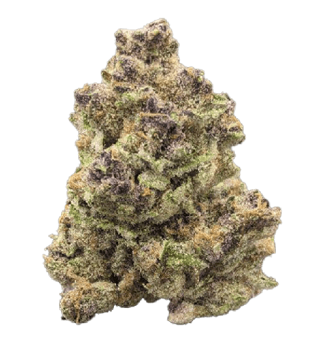 Lemon Cherry Gelato Flower - 