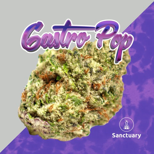 {'strain': 'Gastro Pop', 'strain_type': 'Indica Hybrid', 'company': 'Sanctuary', 'brand': 'Sanctuary Medicinals', 'price': Decimal('22.00'), 'regular_price': Decimal('44.00'), 'thc': Decimal('30.90'), 'cbd': Decimal('0.00'), 'terps': Decimal('0.00'), 'grams': Decimal('3.500'), 'dollars_per_thcg': Decimal('20.340'), 'dollars_per_g': Decimal('6.290'), 'product_format': 'Flower', 'product_sub_format': 'Smalls', 'dispensary_cities': ['Fort Pierce'], 'main_url': 'https://www.sanctuarymed.com/near-me/florida-cannabis-dispensary/ft-pierce-fl-cannabis-dispensary?dtche%5Bproduct%5D=3-5g-small-bud-gastro-pop', 'display_image_url': 'https://thchunter-images.s3.amazonaws.com/product_images/05b01e65-cff3-4793-bdef-fad90c69e2a3.jpg', 'id': 12243965, 'company_logo_file': 'Sanctuary.jpg', 'company__premium_company': False, 'company__name': 'Sanctuary'}