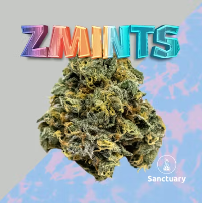 ZMints - 