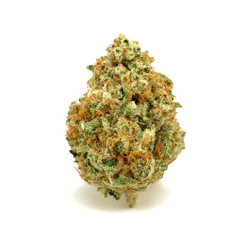 Crumble Holy Grail - 