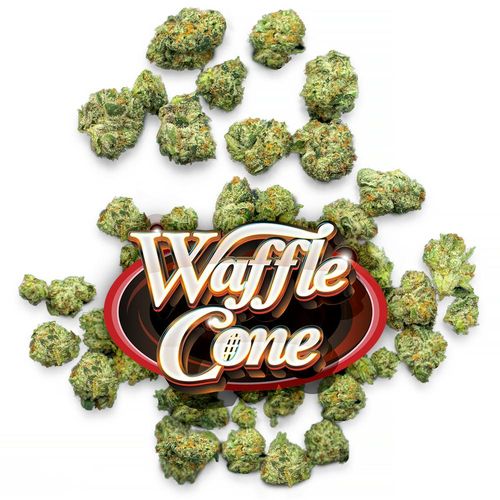 Waffle Cone - Pops - 
