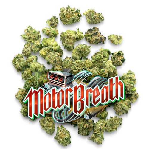 Motor Breath - Pops - 