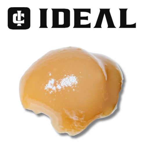 Hashburger  - 