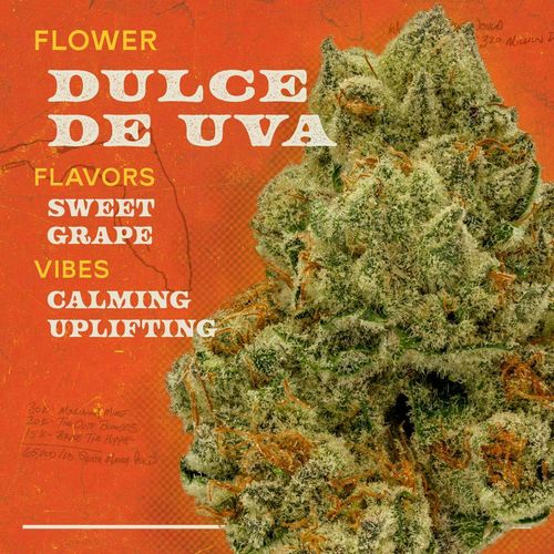 {'strain': 'Dulce De Uva 3.5g Flower Indica', 'strain_type': 'Indica', 'company': 'Sunburn', 'brand': 'Premium Stash', 'price': Decimal('40.00'), 'regular_price': Decimal('40.00'), 'thc': Decimal('29.70'), 'cbd': Decimal('0.00'), 'terps': Decimal('0.00'), 'grams': Decimal('3.523'), 'dollars_per_thcg': Decimal('38.230'), 'dollars_per_g': Decimal('11.350'), 'product_format': 'Flower', 'product_sub_format': 'Whole', 'dispensary_cities': ['Ft. Lauderdale'], 'main_url': 'https://www.sunburncannabis.com/menu/fort-lauderdale-coral-shores-med/none/dulce-de-uva-35g-flower', 'display_image_url': 'https://thchunter-images.s3.amazonaws.com/product_images/3fa6324b-8a54-4519-9303-945063e3a532.jpg', 'id': 12486633, 'company_logo_file': 'Sunburn.jpg', 'company__premium_company': False, 'company__name': 'Sunburn'}