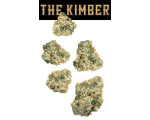 The Kimber 7g Juniors - 