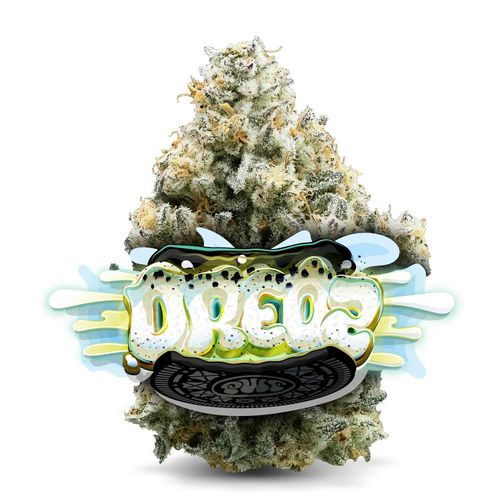Oreoz - Premium Flower by Jungle Boys - 3.500g Whole