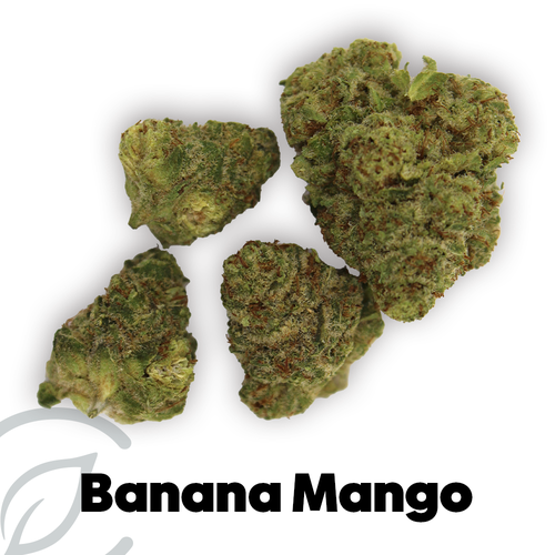 Banana Mango (S) - 