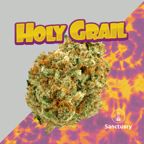 Holy Grail - 