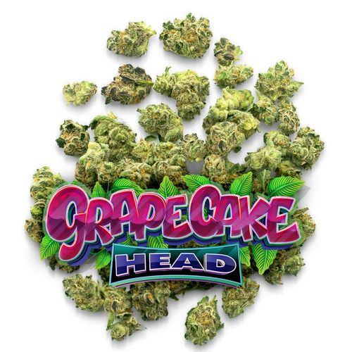 Grape Cake Head #19 - Pops - 