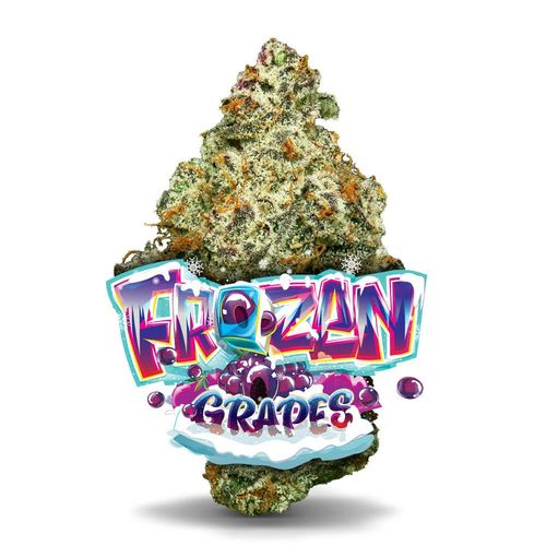 Frozen Grapes - Premium Flower - 
