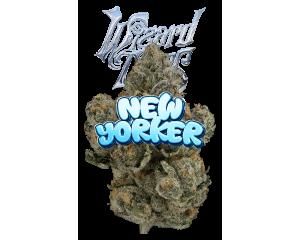 {'strain': 'New Yorker Eighth (Glass Jar)', 'strain_type': 'Hybrid', 'company': 'The Flowery', 'brand': 'Wizard Trees', 'price': Decimal('55.00'), 'regular_price': Decimal('55.00'), 'thc': Decimal('31.90'), 'cbd': Decimal('0.07'), 'terps': Decimal('0.00'), 'grams': Decimal('3.500'), 'dollars_per_thcg': Decimal('49.260'), 'dollars_per_g': Decimal('15.710'), 'product_format': 'Flower', 'product_sub_format': 'Whole', 'dispensary_cities': ['Hollywood'], 'main_url': 'https://theflowery.co/product/new-yorker-eighth-glass-jar', 'display_image_url': 'https://thchunter-images.s3.amazonaws.com/product_images/665266a0-7f83-4f80-af3c-b923110be581.jpg', 'id': 12341784, 'company_logo_file': 'TheFlowery.jpg', 'company__premium_company': False, 'company__name': 'The Flowery'}