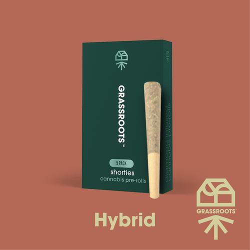 {'strain': 'Mimosa Kush Mints', 'strain_type': 'Unknown', 'company': 'Curaleaf', 'brand': 'Grassroots', 'price': Decimal('16.50'), 'regular_price': Decimal('33.00'), 'thc': Decimal('29.78'), 'cbd': Decimal('0.07'), 'terps': Decimal('0.00'), 'grams': Decimal('0.400'), 'dollars_per_thcg': Decimal('138.520'), 'dollars_per_g': Decimal('41.250'), 'product_format': 'Flower', 'product_sub_format': 'PreRoll', 'dispensary_cities': ['Hallandale Beach'], 'main_url': 'https://curaleaf.com/shop/florida/curaleaf-hallandale/menu//menu/pre-rolls-1523/hybrid-mimosa-kush-mints-packs-mimosa-kush-mints-5-pack--2g-2210', 'display_image_url': 'https://thchunter-images.s3.amazonaws.com/product_images/71179734-01a5-4b33-bdd9-de6c4379d8fe.png', 'id': 12808758, 'company_logo_file': 'curaleaf.jpg', 'company__premium_company': False, 'company__name': 'Curaleaf'}