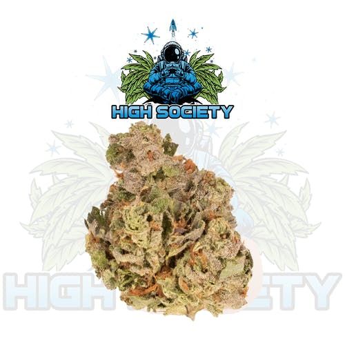 High Society - 