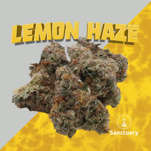 {'strain': 'Lemon Haze', 'strain_type': 'Sativa', 'company': 'Sanctuary', 'brand': 'Sanctuary Cannabis', 'price': Decimal('22.00'), 'regular_price': Decimal('44.00'), 'thc': Decimal('30.00'), 'cbd': Decimal('0.00'), 'terps': Decimal('0.00'), 'grams': Decimal('3.500'), 'dollars_per_thcg': Decimal('20.950'), 'dollars_per_g': Decimal('6.290'), 'product_format': 'Flower', 'product_sub_format': 'Smalls', 'dispensary_cities': ['Palatka'], 'main_url': 'https://www.sanctuarymed.com/near-me/florida-cannabis-dispensary/palatka-fl-cannabis-dispensary?dtche%5Bproduct%5D=lemon-haze-3-5g-small-bud', 'display_image_url': 'https://thchunter-images.s3.amazonaws.com/product_images/9a819826-2234-4091-88d9-b7ab8edb7d70.jpg', 'id': 9760734, 'company_logo_file': 'Sanctuary.jpg', 'company__premium_company': False, 'company__name': 'Sanctuary'}