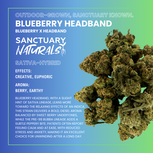 Blueberry Headband - 