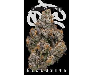 Biscotti Eighth - 