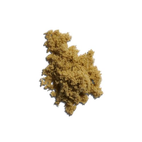 {'strain': "Gaspar's Grapes", 'strain_type': 'Hybrid', 'company': 'Surterra', 'brand': 'Float', 'price': Decimal('14.00'), 'regular_price': Decimal('35.00'), 'thc': Decimal('38.40'), 'cbd': Decimal('0.00'), 'terps': Decimal('0.00'), 'grams': Decimal('1.000'), 'dollars_per_thcg': Decimal('36.460'), 'dollars_per_g': Decimal('14.000'), 'product_format': 'Concentrate', 'product_sub_format': 'Kief', 'dispensary_cities': ['Brooksville'], 'main_url': 'https://www.surterra.com/dispensaries/brooksville', 'display_image_url': 'https://thchunter-images.s3.amazonaws.com/product_images/a7b85a71-ef15-4696-a89e-cf0b980df5b3.jpeg', 'id': 12395093, 'company_logo_file': 'Surterra.jpg', 'company__premium_company': False, 'company__name': 'Surterra'}