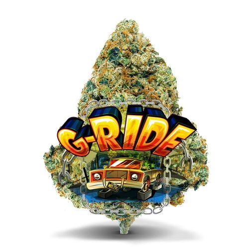 G-Ride - Premium Flower - 