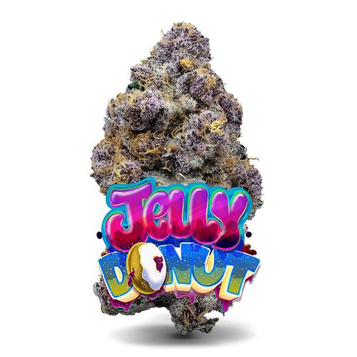 Jelly Donut - Premium Flower - 