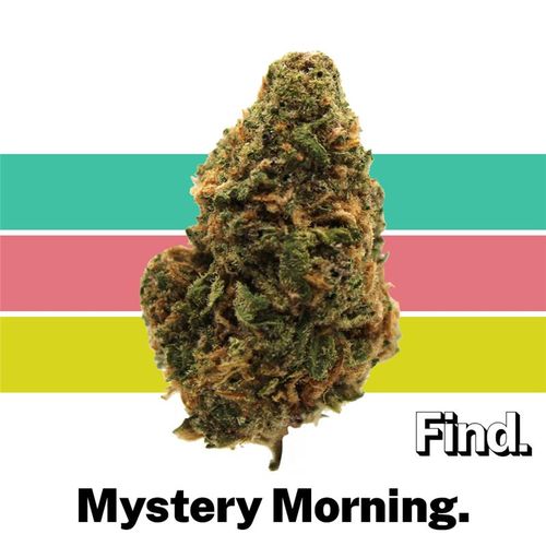 Mystery Morning (S) - 