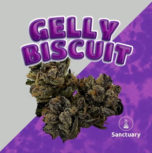 Gelly Biscuit - 
