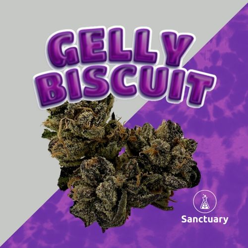 Gelly Biscuit - 